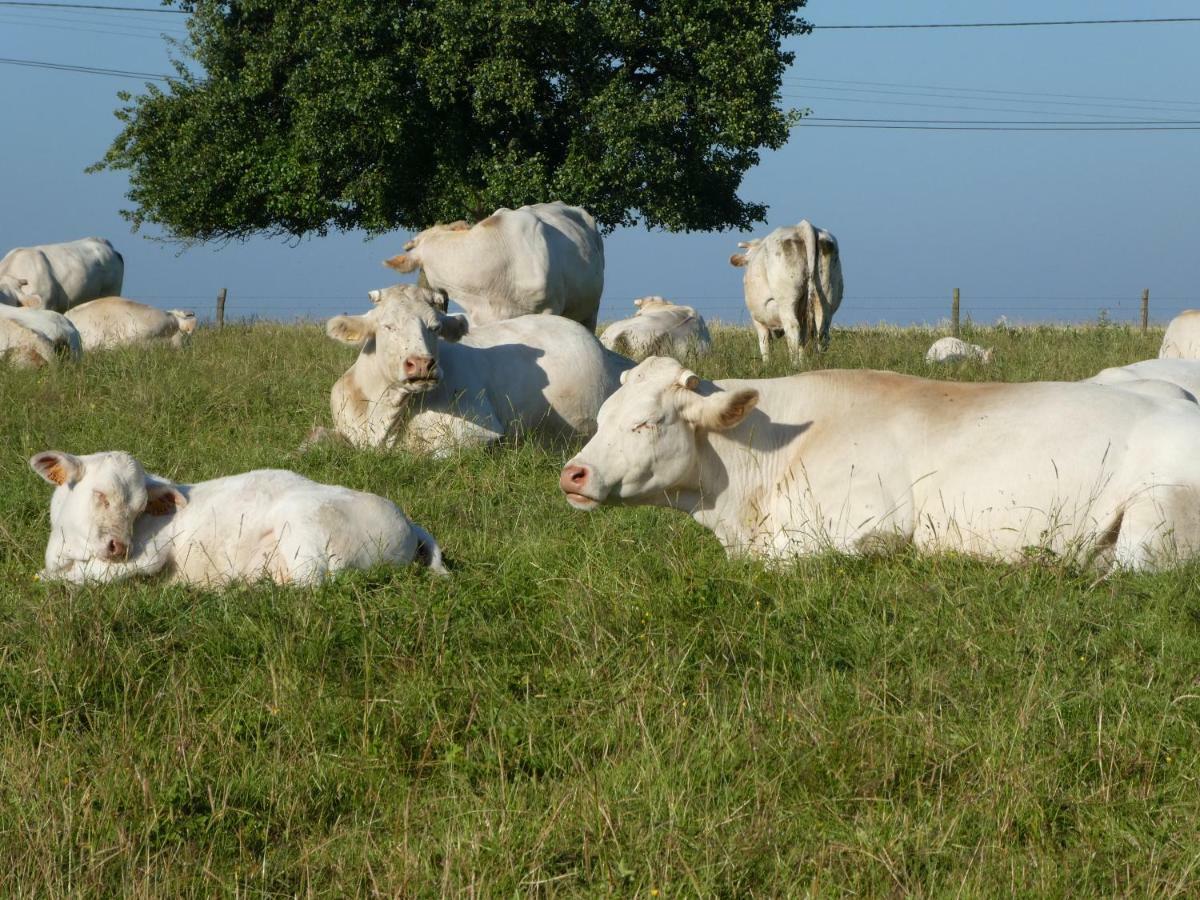 L'Etape Normande Bed & Breakfast Montroty  Bagian luar foto